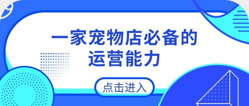 宠物店与酒店管理的跨界融合 必备运营能力解析